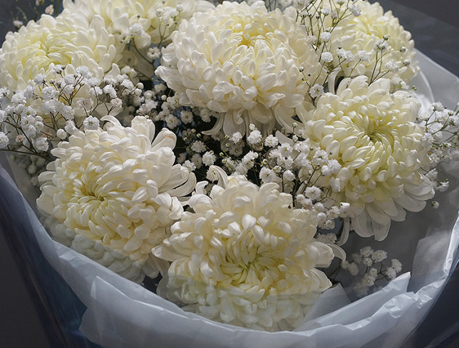 Букет из 7 шаровидных хризантем и белой гипсофилы Фото